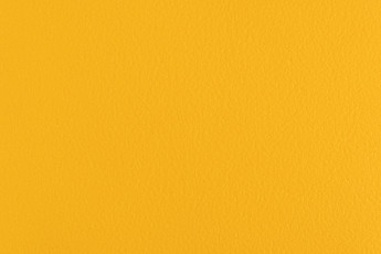 Линолеум Forbo SportLine Standart Fr 1070 фото 1 | FLOORDEALER